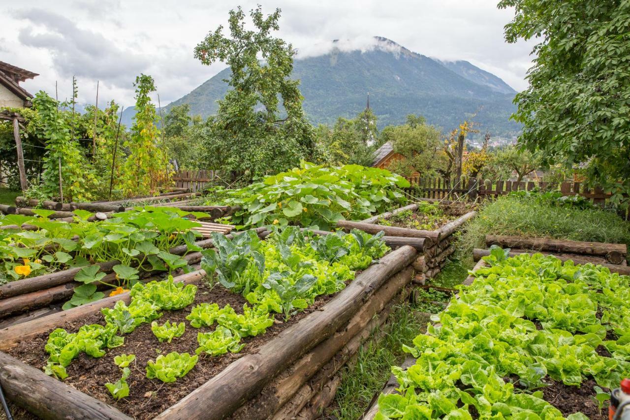 Villa Glamping Organic Farm Slibar Tržič Exterior foto